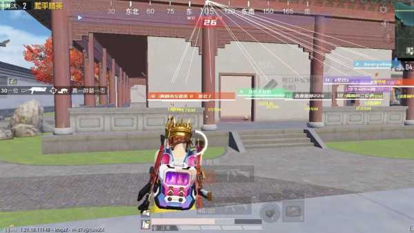 和平精英辅助【飞鸟】